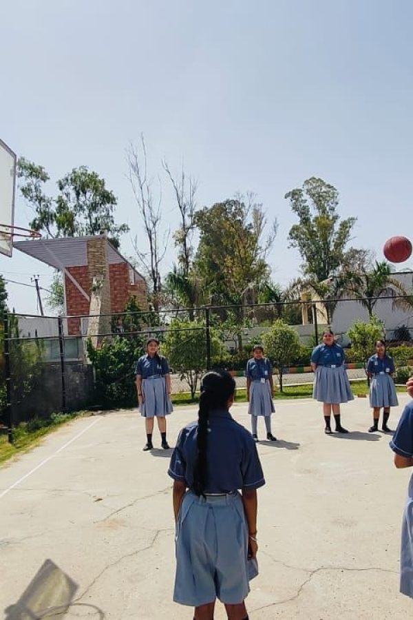 Sports (2)
